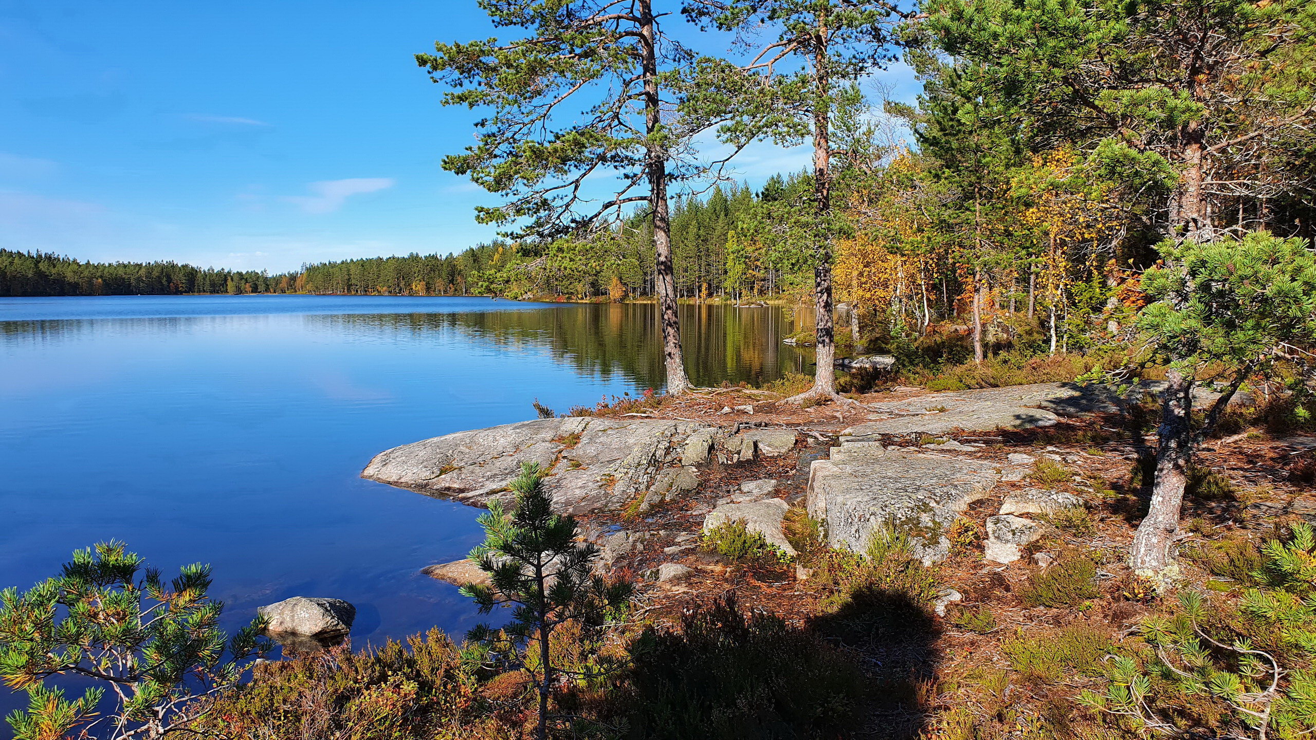 Bergsjön