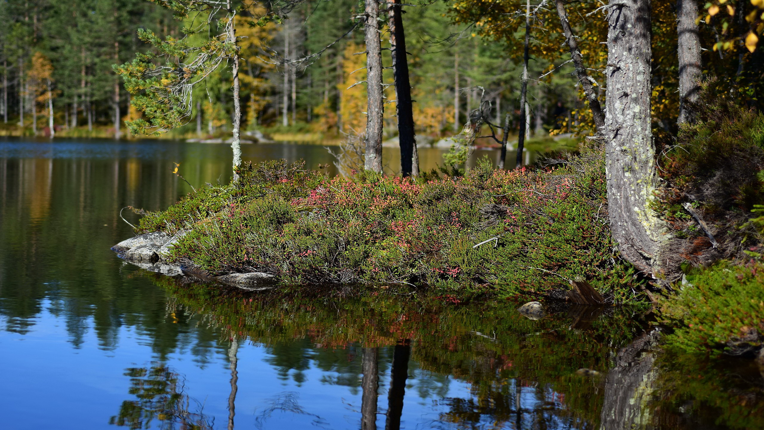 Bergsjön