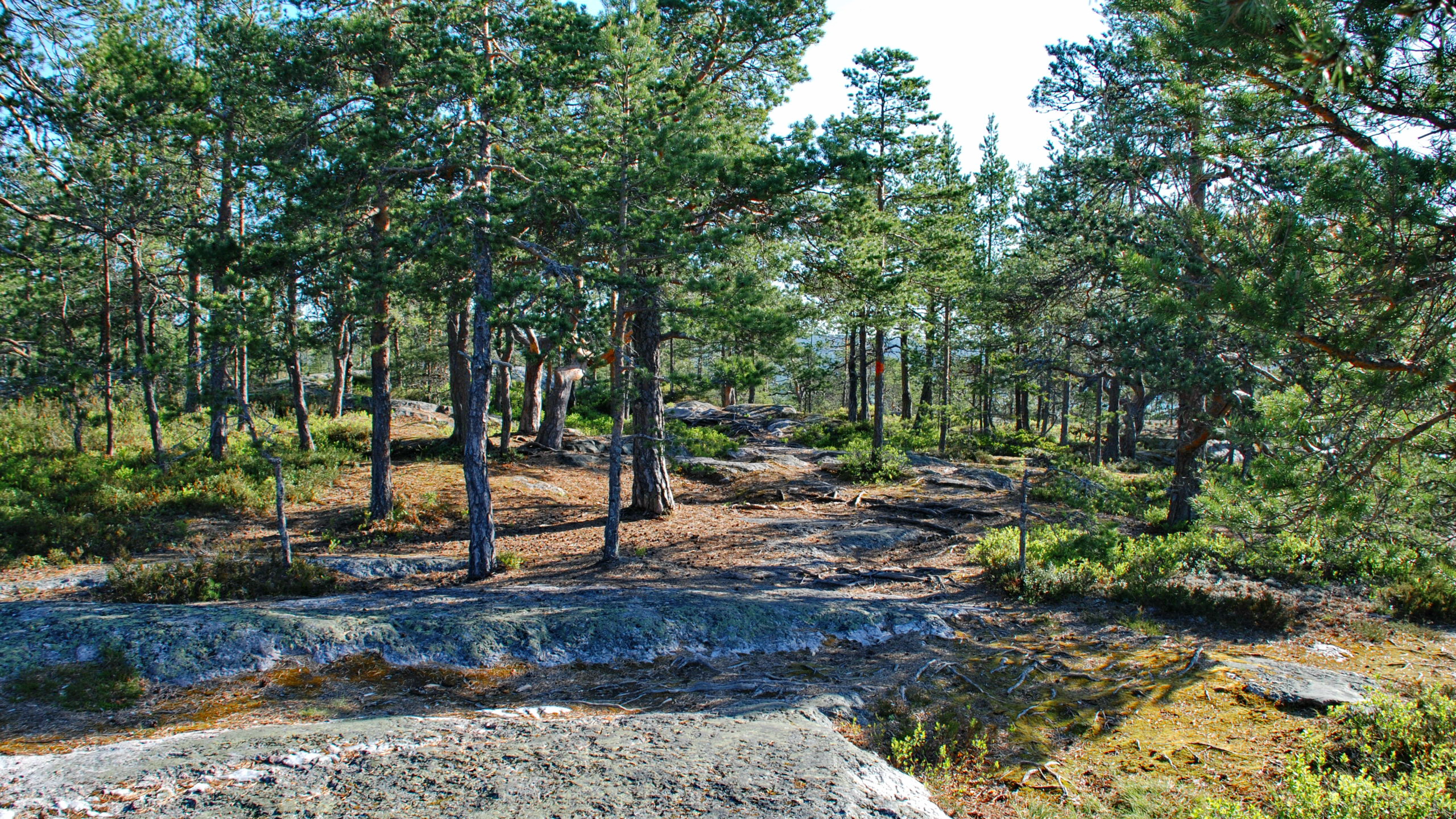 Ögeltjärnsberget