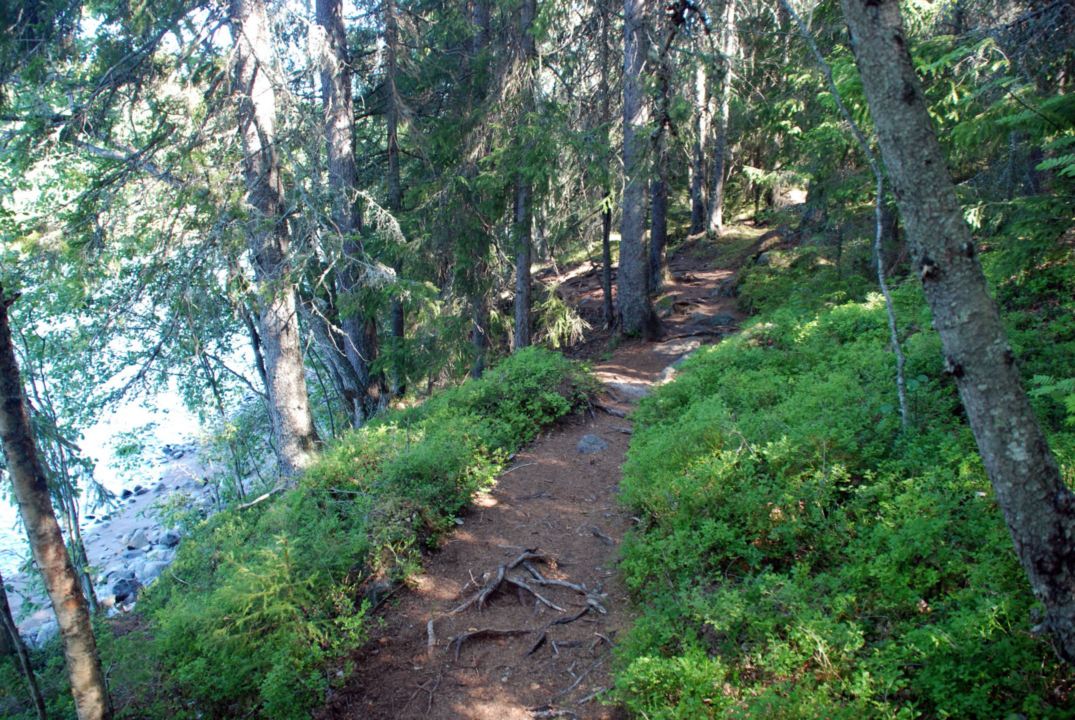 Utflykt till Slåttdalsberget.