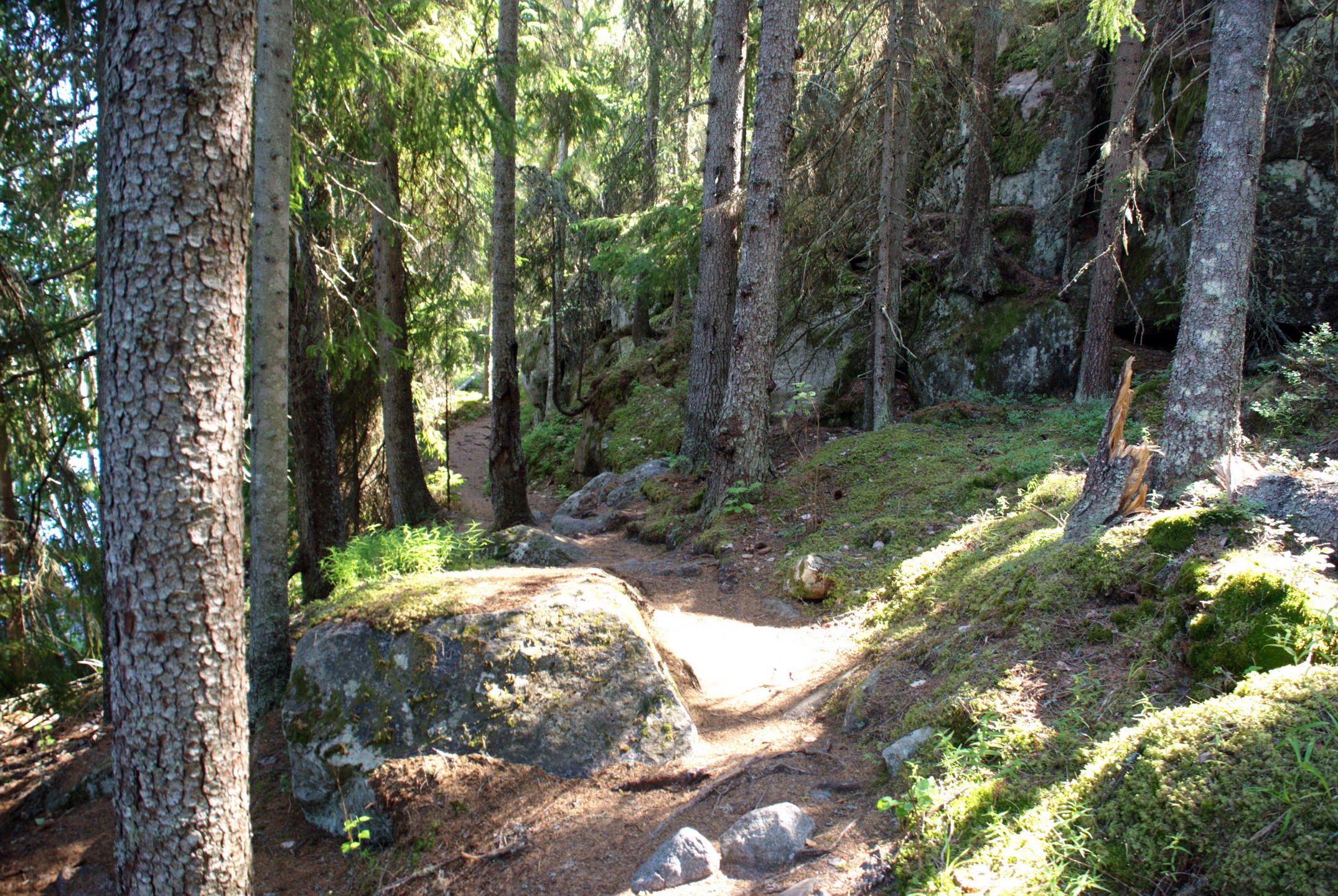 Utflykt till Slåttdalsberget.